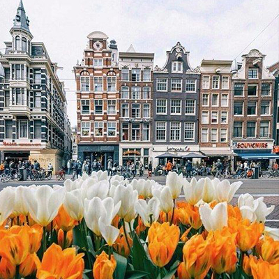 фото Автобусный тур в Амстердам Голландия из Львова Гелена тур